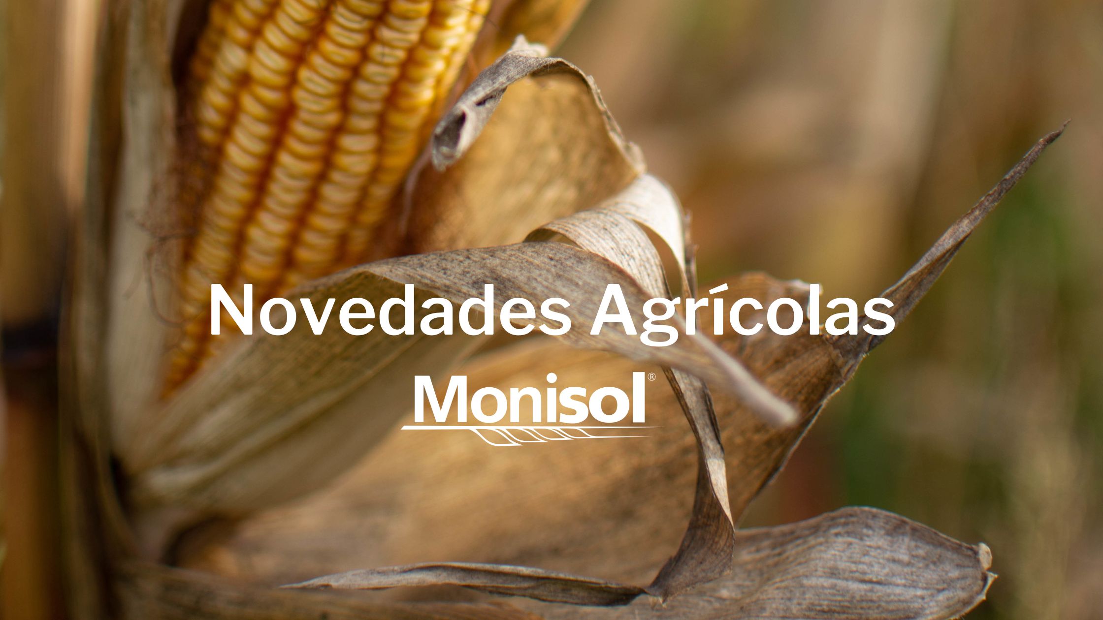 Novedades Agrícolas para Otoño